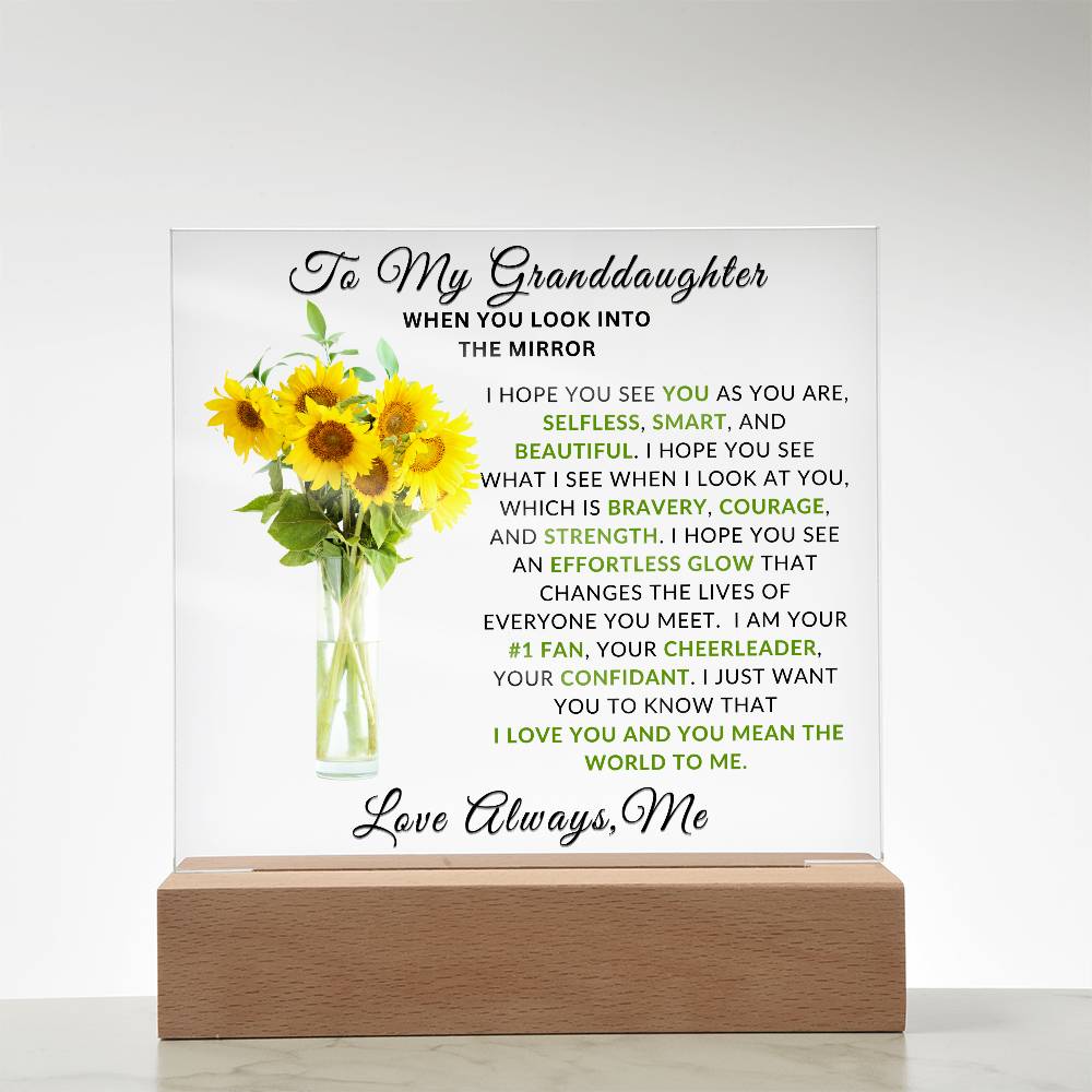 Special Unique Gift For Granddaughter | LED Acrylic Plaque